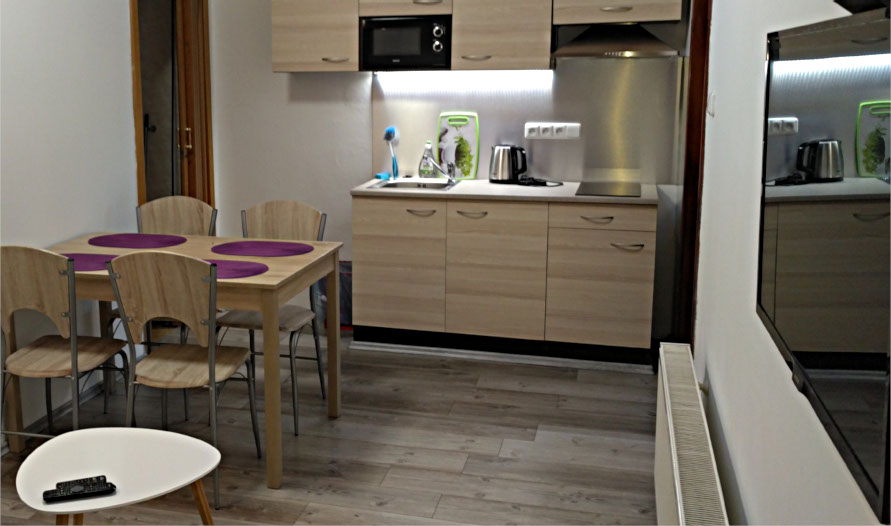 Kuchyň a pokoj v apartmánu Na Špici